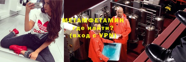 индика Туринск
