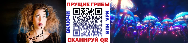 Галлюциногенные грибы Psilocybine cubensis  Севастополь 